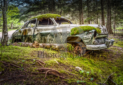 1950 Mercury Sedan, Moss Covered Car, Old rusty car, Art